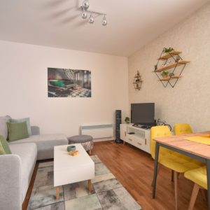 Apartman Zlatibor VIla Bela B11 tip premium
